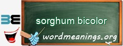 WordMeaning blackboard for sorghum bicolor